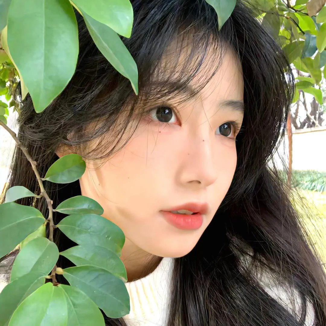 寂静的夏天